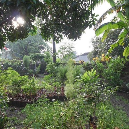 Bhumi Hostel يوغياكارتا المظهر الخارجي الصورة