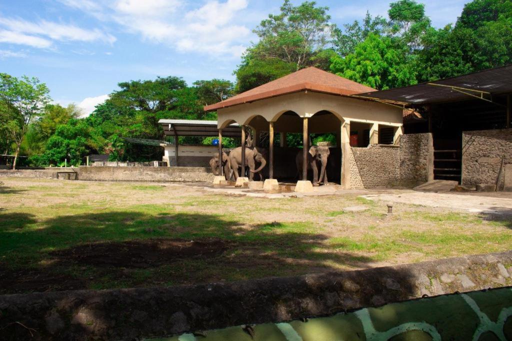 Bhumi Hostel يوغياكارتا المظهر الخارجي الصورة
