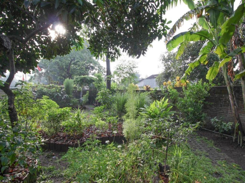 Bhumi Hostel يوغياكارتا المظهر الخارجي الصورة